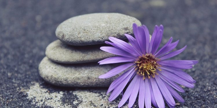 Gentle Yoga to Help You Stretch
