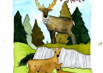 November Tarot Reading: Great Protector