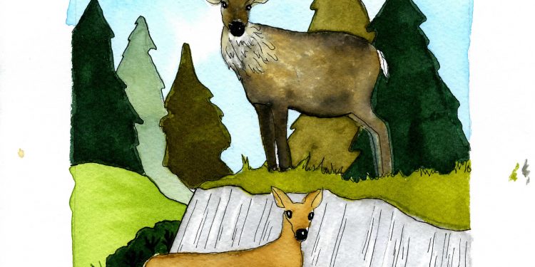 November Tarot Reading: Great Protector