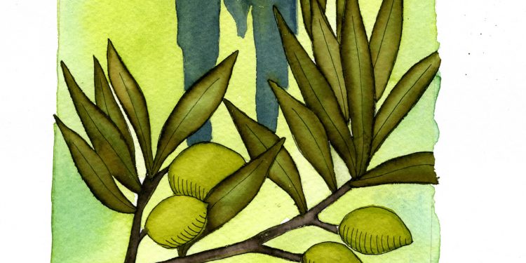 January Tarot Reading: Olive Branch