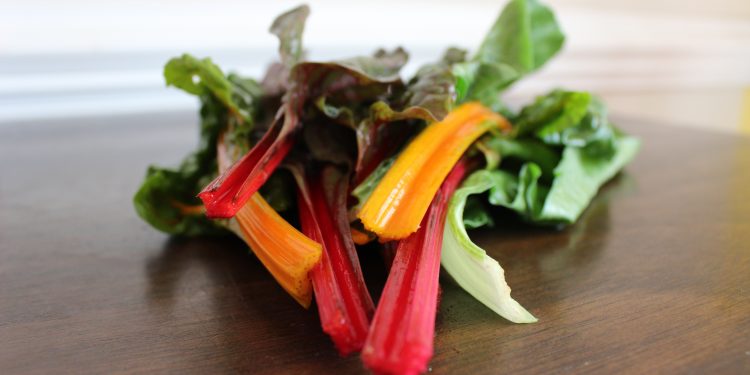 headache, migraine, magnesium, concussion, brain injury, tbi, abi,