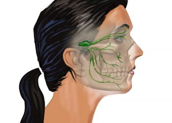vagus nerve, tmj, jaw pain, headache, migraine, rezzimax, concussion, brain injury, tbi, abi,pcs,