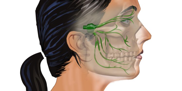 vagus nerve, tmj, jaw pain, headache, migraine, rezzimax, concussion, brain injury, tbi, abi,pcs,