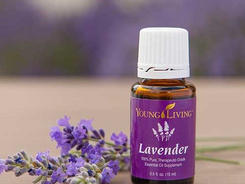 Essential Oils:
Lavender and Lavender Vitality
