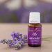 Essential Oils:
Lavender and Lavender Vitality