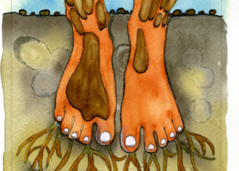 November Tarot Reading: Plant Your Feet