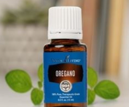 Oregano Essential Oil  Essential Oils and Healthy Lifestyle with