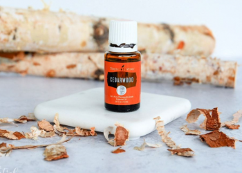 Essential Oils: Cedarwood