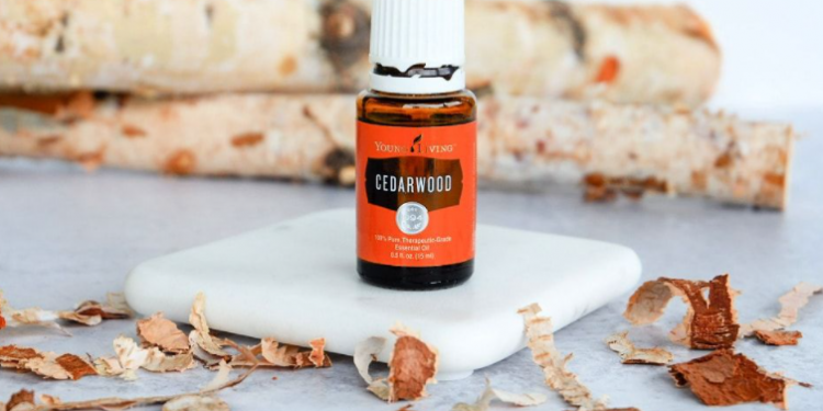 Essential Oils: Cedarwood