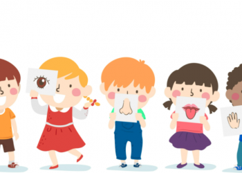 Using Our Senses to Eliminate Brain Fog