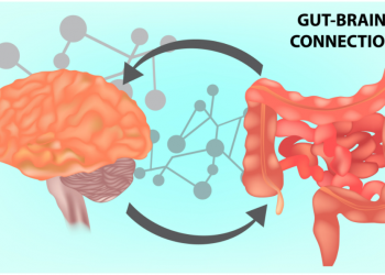 The Gut-Brain Connection Through the Lens of Traumatic Brain Injury