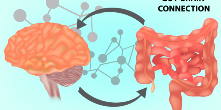 The Gut-Brain Connection Through the Lens of Traumatic Brain Injury