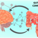 The Gut-Brain Connection Through the Lens of Traumatic Brain Injury