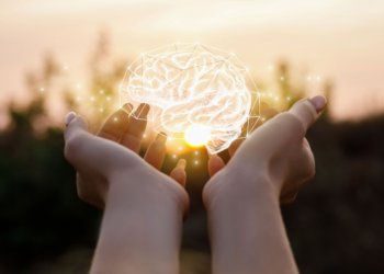 Hormones and Brain Function