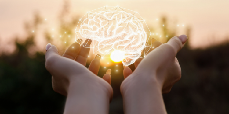 Hormones and Brain Function