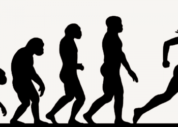 Dancing with Darwin