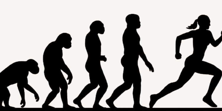 Dancing with Darwin