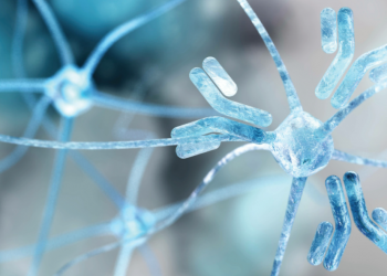 How a Traumatic Brain Injury Damages the Fragility of the Central Nervous System