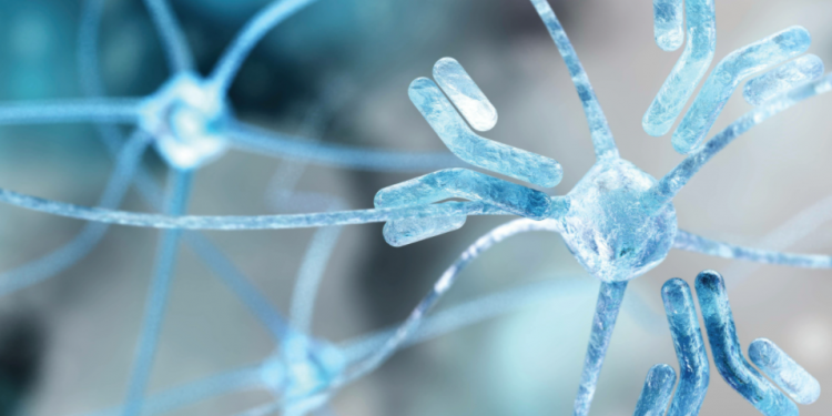 How a Traumatic Brain Injury Damages the Fragility of the Central Nervous System
