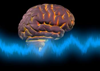 The Curse and Blessing of Neuroplasticity After Concussion