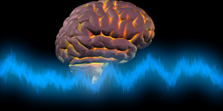 The Curse and Blessing of Neuroplasticity After Concussion