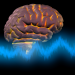 The Curse and Blessing of Neuroplasticity After Concussion