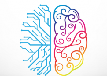 Busting the Neuromyth of Left-Brain Versus Right-Brain Dominance