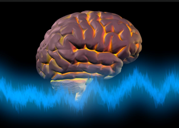 Neuroplasticity and Meditation