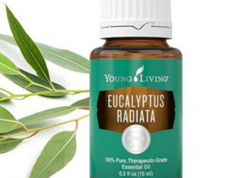 Eucalyptus Radiata Essential Oil