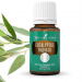 Eucalyptus Radiata Essential Oil
